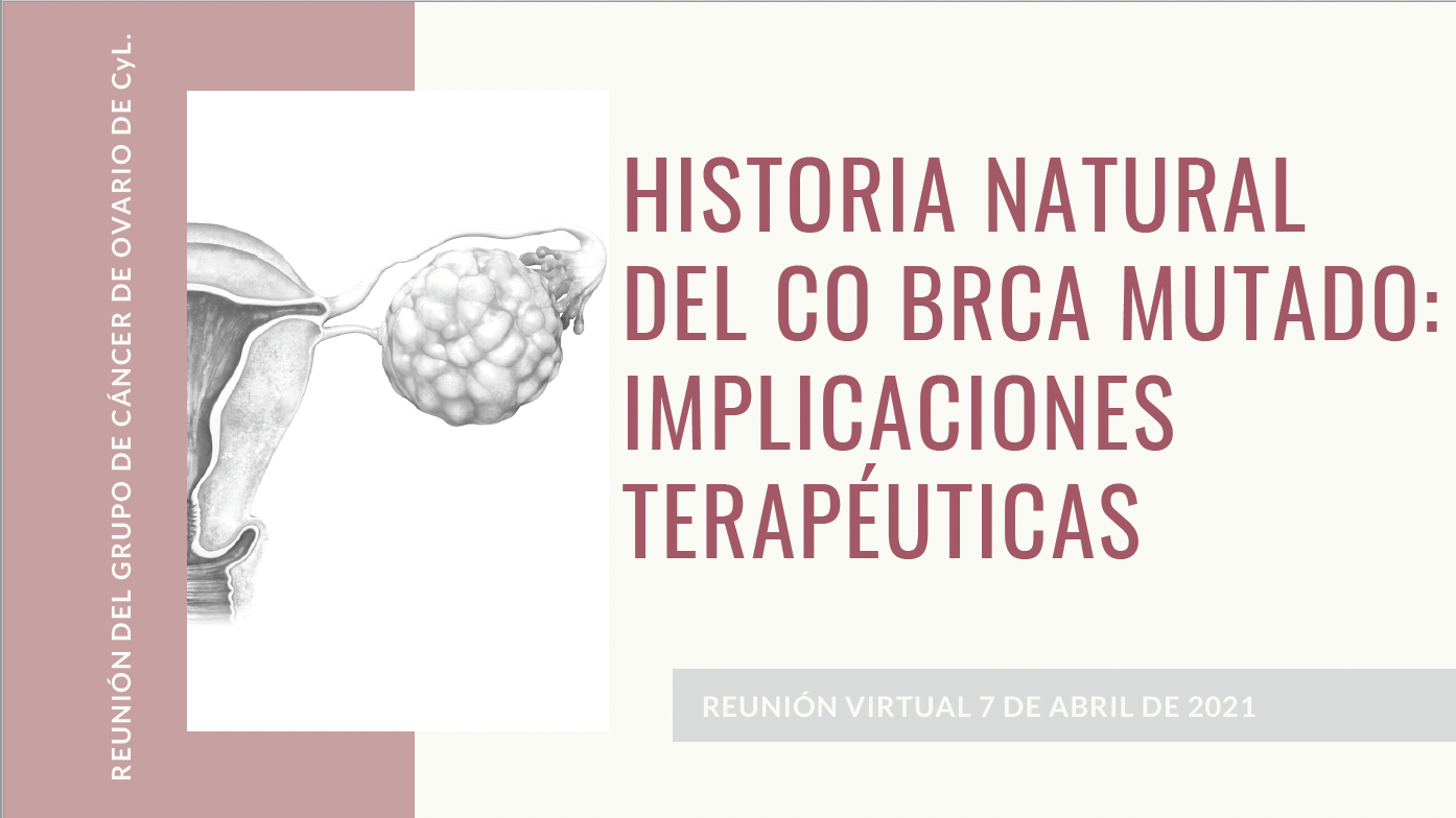 Reunión del Grupo de Cáncer de Ovario de CyL | HISTORIA NATURAL DEL CO BRCA MUTADO: IMPLICACIONES TERAPÉUTICAS